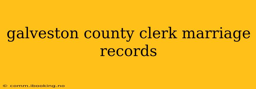 galveston county clerk marriage records