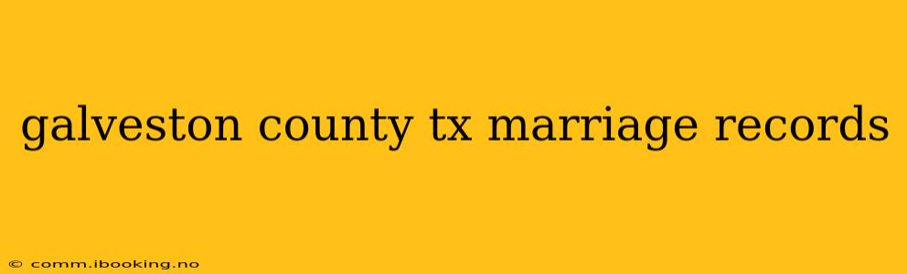 galveston county tx marriage records
