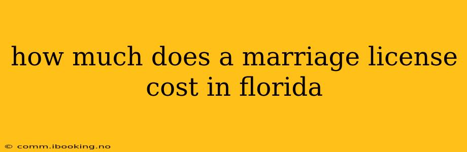 how much does a marriage license cost in florida