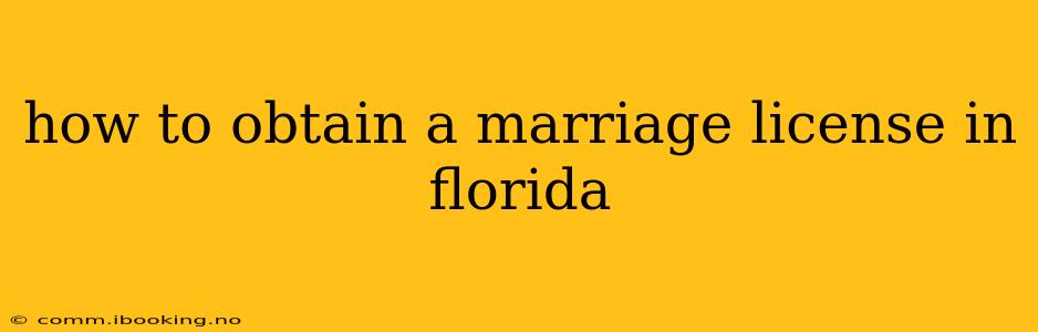 how to obtain a marriage license in florida