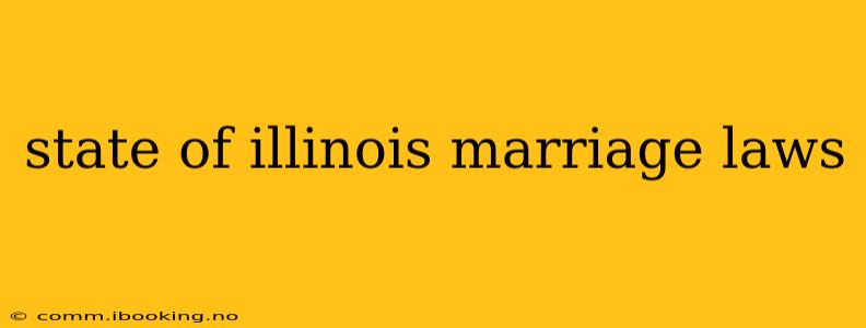 state of illinois marriage laws